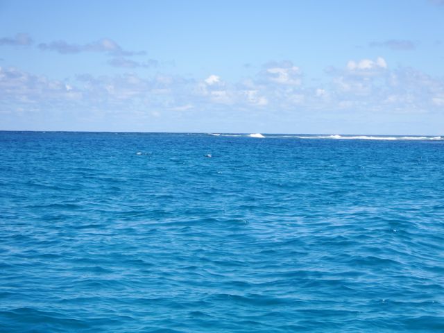 a0254130_15575830.jpg