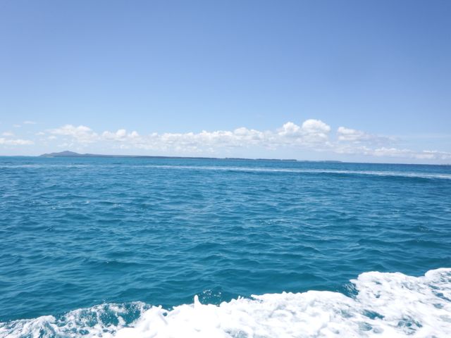 a0254130_15582992.jpg