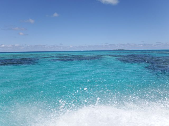 a0254130_1652289.jpg