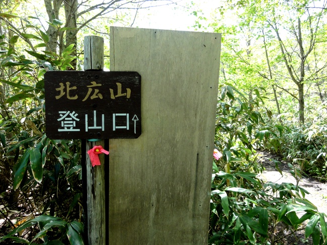 d0235336_16114938.jpg