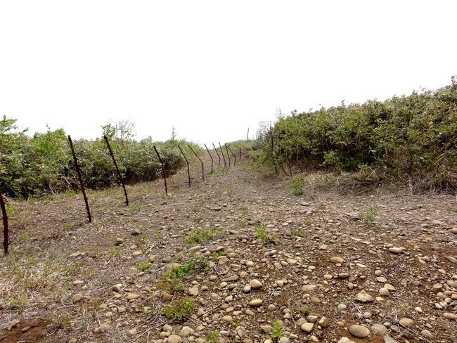 d0235336_16143522.jpg
