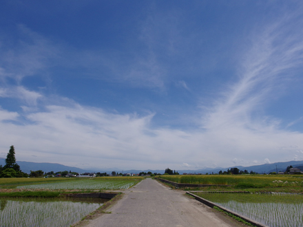 a0014840_20143257.jpg