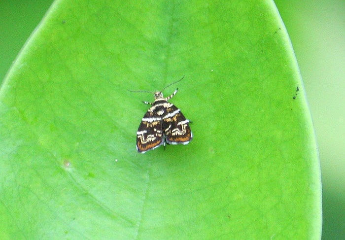b0288942_10193953.jpg