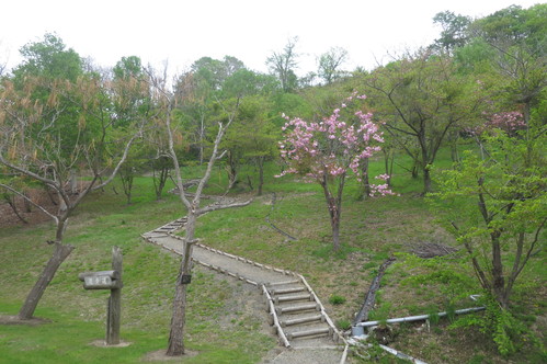 薬用植物園へ_f0231042_203289.jpg