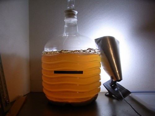 自ビールNo.5 1次発酵終焉_c0063348_1033521.jpg