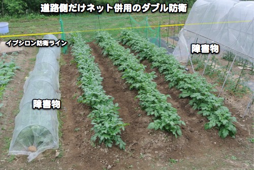 守りはまだ手薄?_c0063348_11112477.jpg