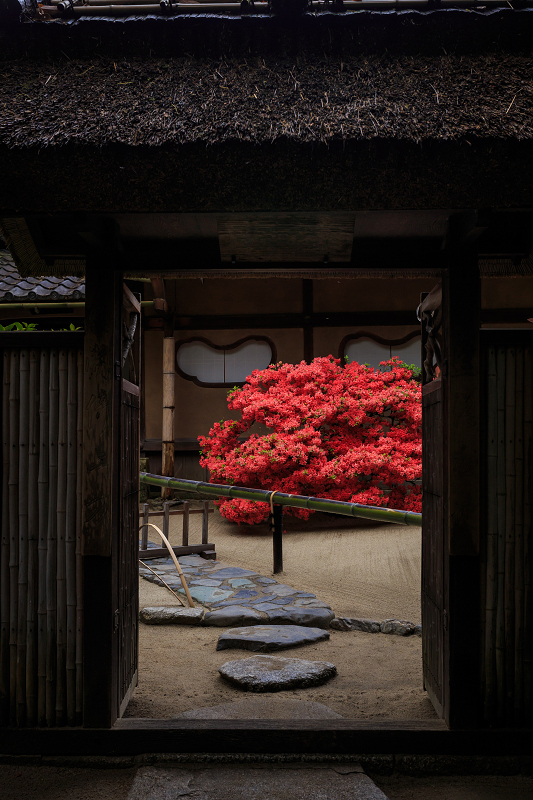 ツツジ咲く詩仙堂 : 花景色－K.W.C. PhotoBlog