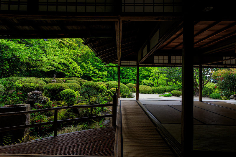 ツツジ咲く詩仙堂 : 花景色－K.W.C. PhotoBlog