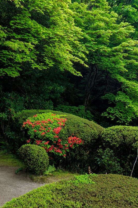 ツツジ咲く詩仙堂 : 花景色－K.W.C. PhotoBlog