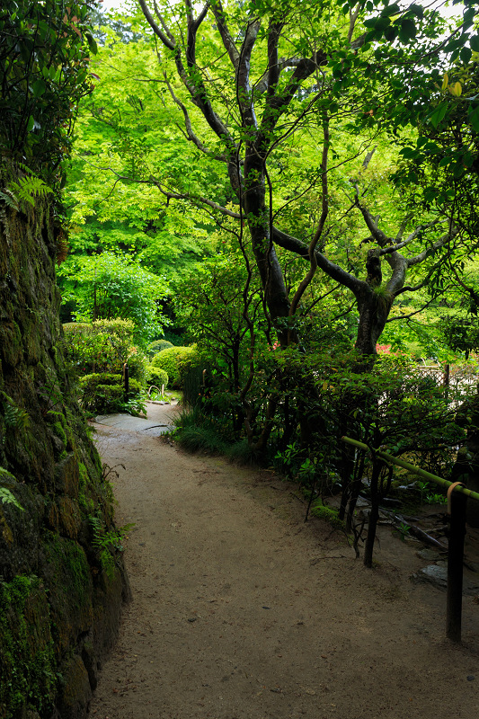 ツツジ咲く詩仙堂 : 花景色－K.W.C. PhotoBlog