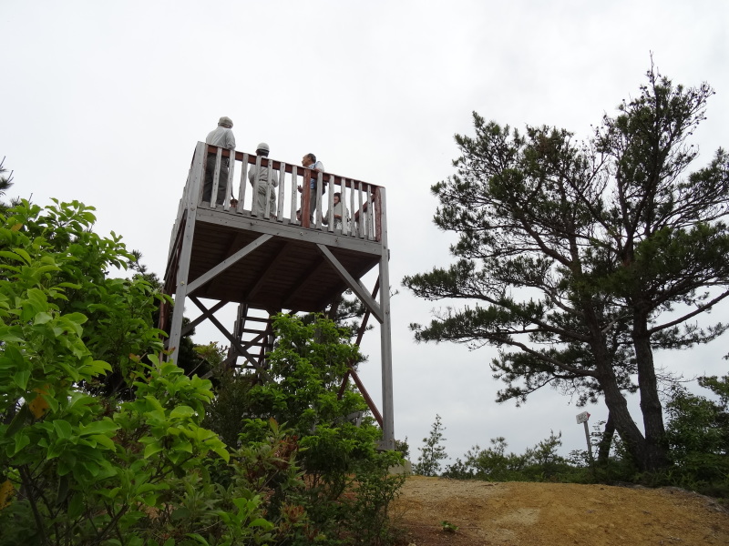 c0108460_22204231.jpg