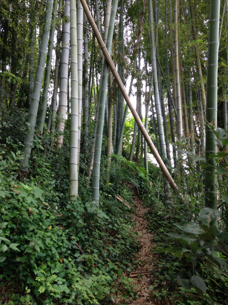 秘密の花園に行ってきた！_f0100660_16344137.jpg