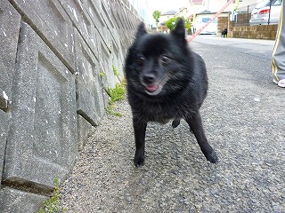 e0002466_6103514.jpg