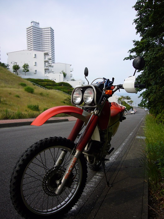 d0008367_026433.jpg