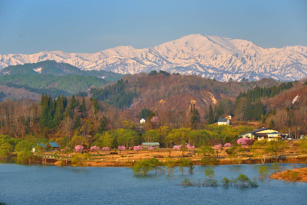 b0223668_5334290.jpg