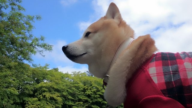 b0274270_10462047.jpg