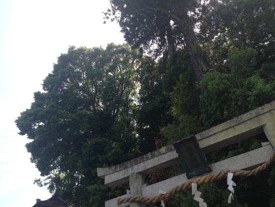 京都弾丸旅行 —麻田家の三人展—_f0236691_23143275.jpg