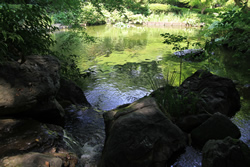 池田山公園_f0322193_92544.jpg