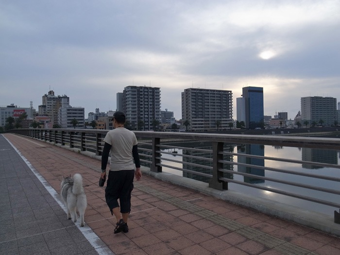 c0049299_1418557.jpg