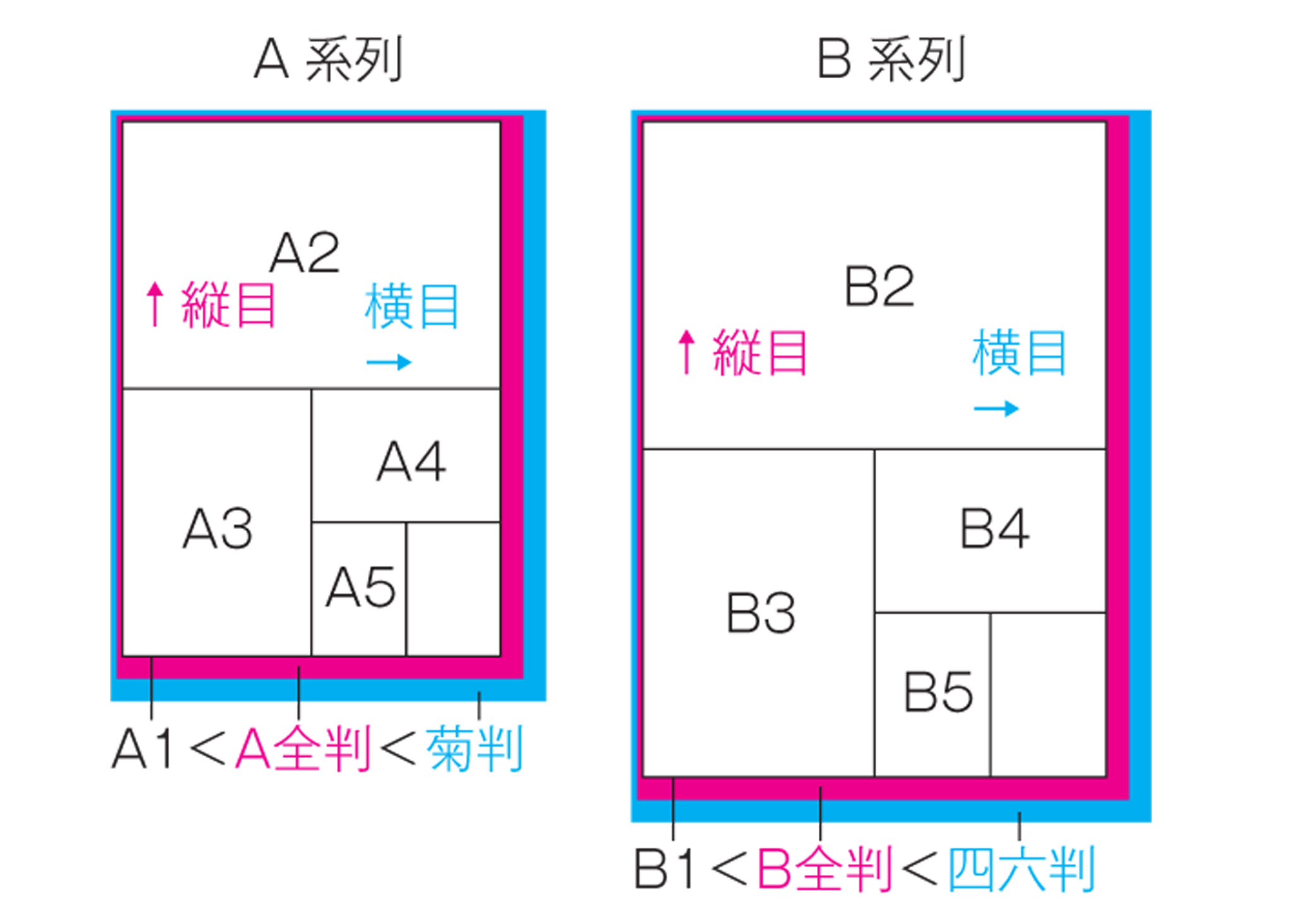 紙の寸法と流れ目 印刷のいろは2 永和印刷のブログ E Blog