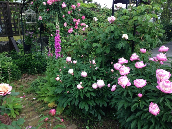 春爛漫 ゆりかごのつぶやき