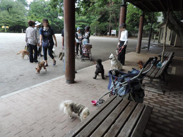 b0312810_20363846.jpg
