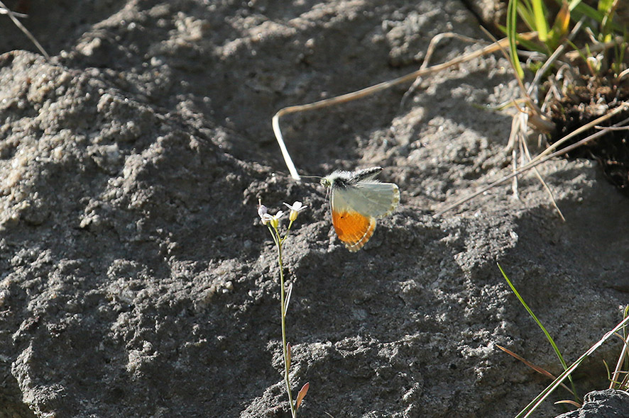 b0315912_22595769.jpg
