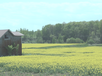 a0114514_20404151.png