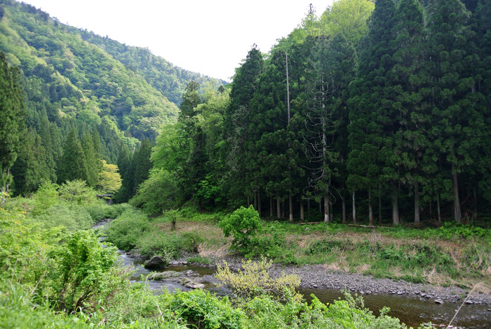 d0327814_114829100.jpg