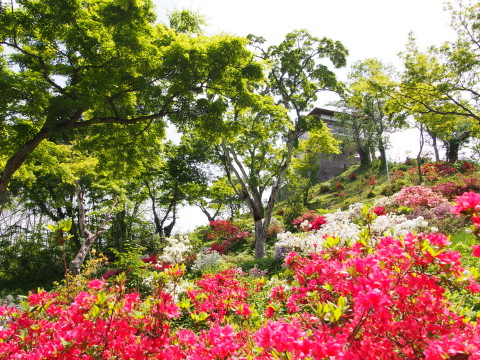 大鰐温泉つつじまつり*2014.05.28_b0147224_2224469.jpg