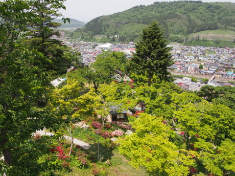 大鰐温泉つつじまつり*2014.05.28_b0147224_2242053.jpg