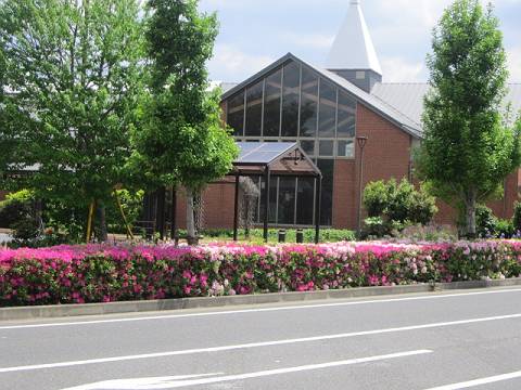 d0065324_19125324.jpg
