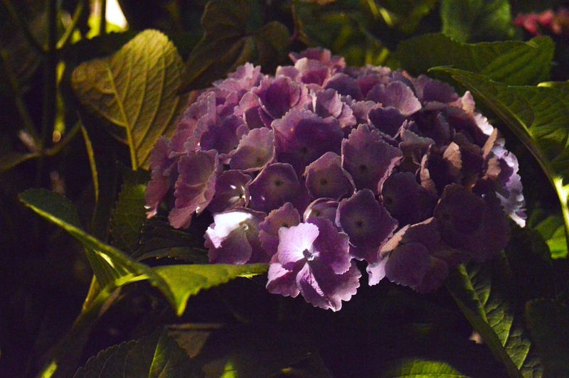 d0233024_20203483.jpg