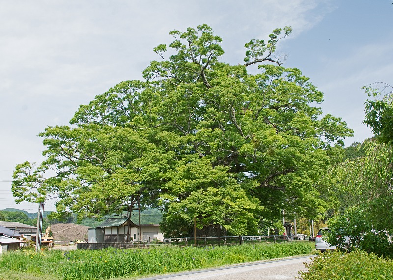 e0331427_64662.jpg