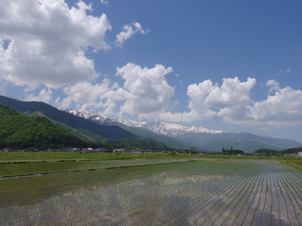 a0014840_19532566.jpg