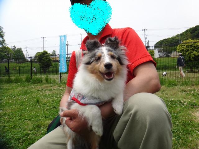 ミントのトロフィー_e0195743_10251015.jpg