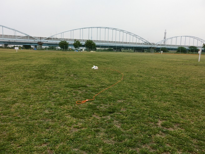 c0156345_14713.jpg