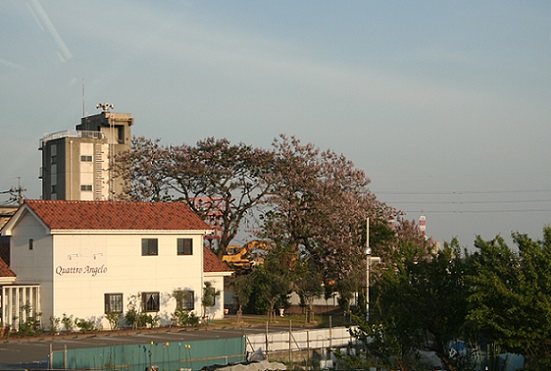 e0126350_12215772.jpg