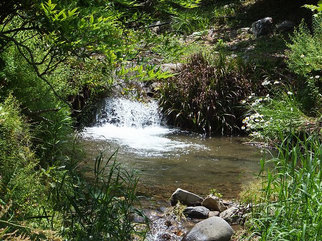 山の中の古民家カフェ_a0130451_22185481.jpg