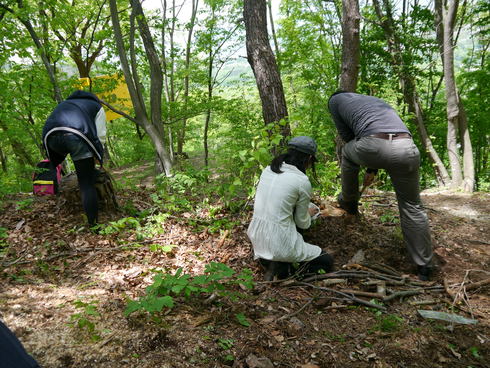 旅ムサ番外編 小諸ツリーハウスプロジェクト 武蔵野美術大学 旅するムサビプロジェクト