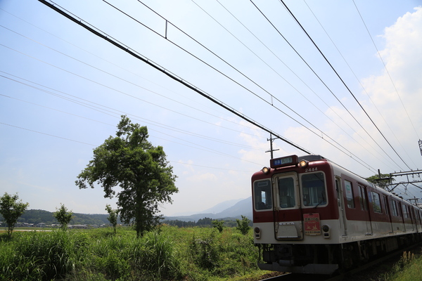 d0224253_1526146.jpg