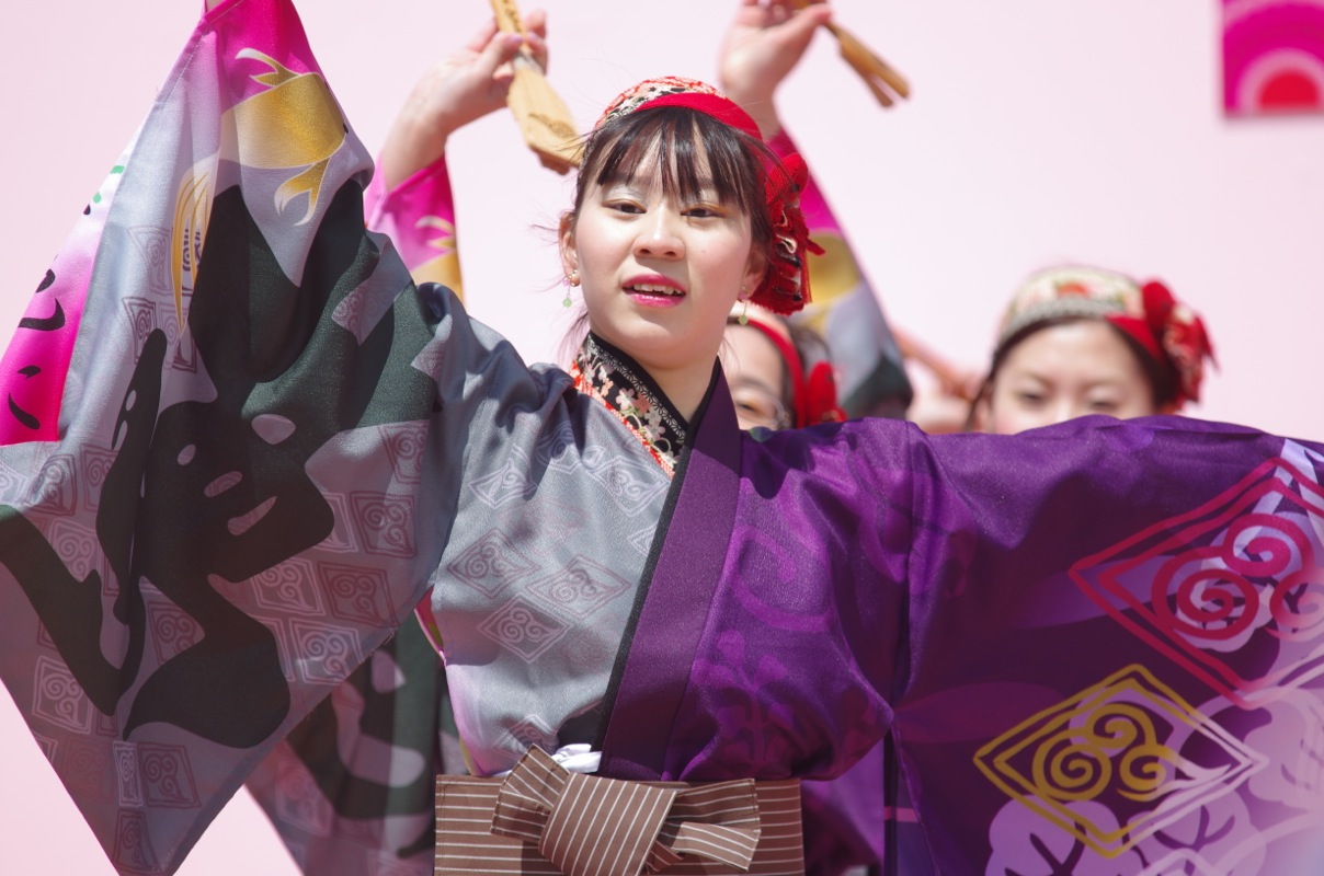 京都さくらよさこい２０１４二日目その１１（夢源風人）_a0009554_2372396.jpg