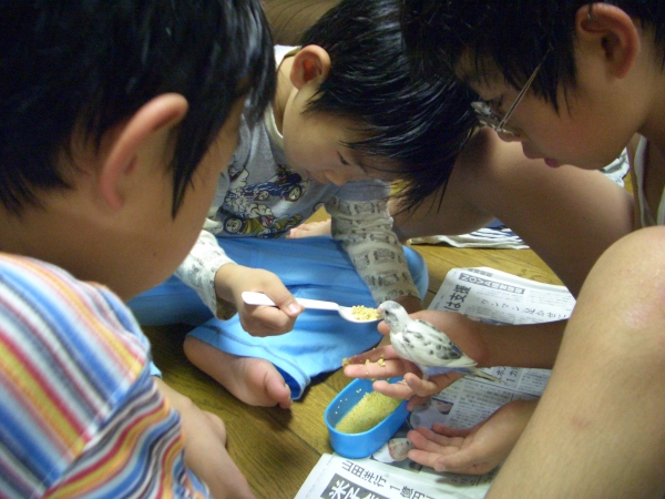 f0337058_23261745.jpg