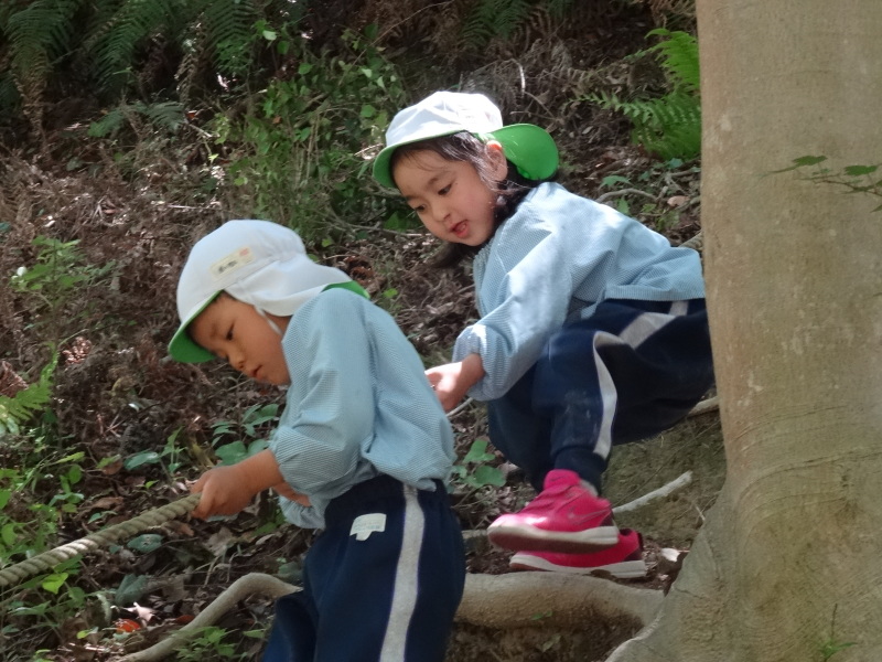 教円幼稚園年長組「里山体験」  in   孝子の森　　　　　by　　　  (TATE-misaki)_c0108460_23224897.jpg