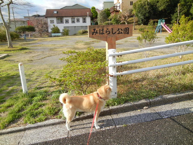 ’14,5,26(月)今日はとても涼しいです!_f0060461_19135054.jpg