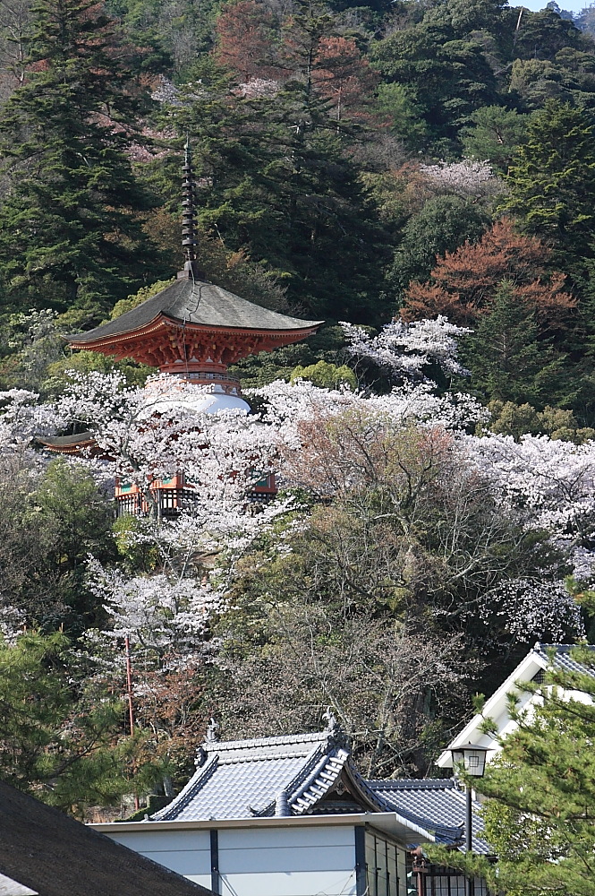 2014年3月30日～4月5日 山陽山陰の旅（第二部）_c0127663_1912760.jpg