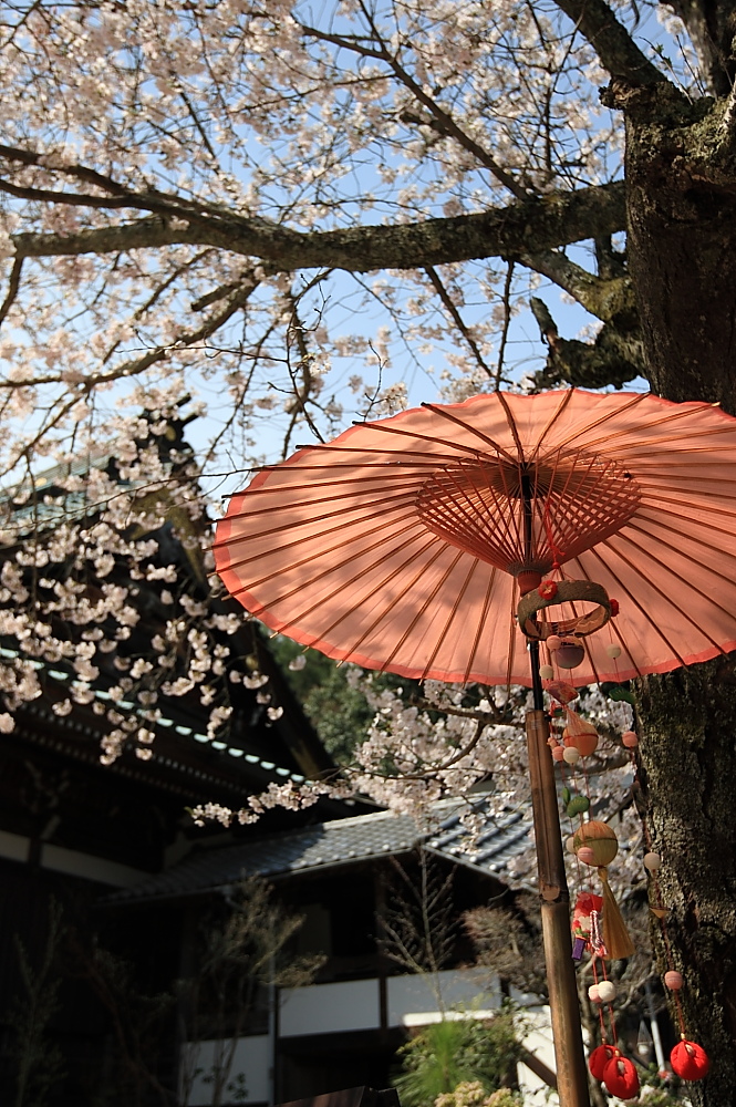 2014年3月30日～4月5日 山陽山陰の旅（第二部）_c0127663_1935842.jpg