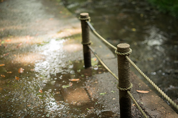 2014/05/28　等々力渓谷　Sigma 50/1.4DG_b0171364_10584153.jpg