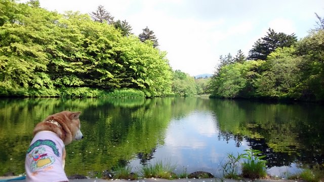 b0274270_11140100.jpg
