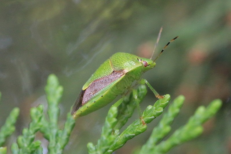 c0313378_22021513.jpg